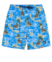 【OUTLET】Quiksilver EVERYDAY STRAIGHT VL 19 メンズ ボードショーツ