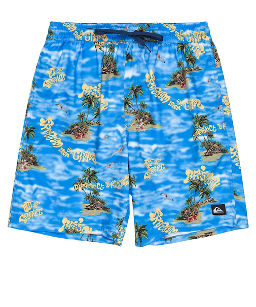 【OUTLET】Quiksilver EVERYDAY STRAIGHT VL 19 メンズ ボードショーツ