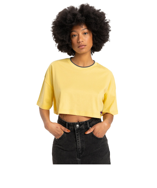 【OUTLET】【オンラインストア・直営店限定】Quiksilver MAXI CROP SS TEE ウィメンズ Tシャツ