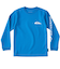 【OUTLET】Quiksilver BIG CLICKER LS YOUTH キッズ サーフTシャツ ラッシュガード