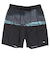 【OUTLET】Quiksilver EVERYDAY WORDBLOCK VL 19 メンズ ボードショーツ