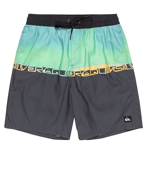 【OUTLET】Quiksilver EVERYDAY WORDBLOCK VL 19 メンズ ボードショーツ