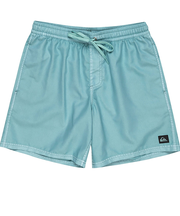 【OUTLET】Quiksilver EVERYDAY SURFWASH VOLLEY 17NB メンズ ボードショーツ