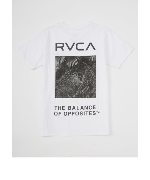 【RVCA ルーカ公式通販】ルーカ （RVCA）【OUTLET】RVCA キッズ PALM BOX SS Tシャツ 【2025年春夏モデル】