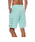 【OUTLET】BILLABONG メンズ ALLDAY OG サーフトランクス 【2025年春夏モデル】
