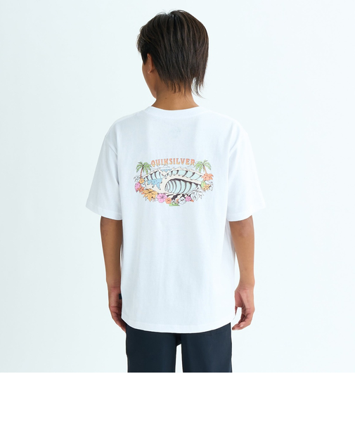 【OUTLET】Quiksilver AQUIA WILD ST YOUTH