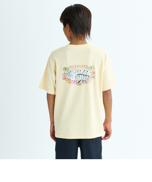 【OUTLET】Quiksilver AQUIA WILD ST YOUTH