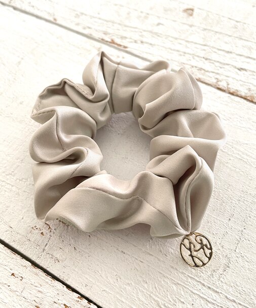 サークルロゴサテンシュシュ