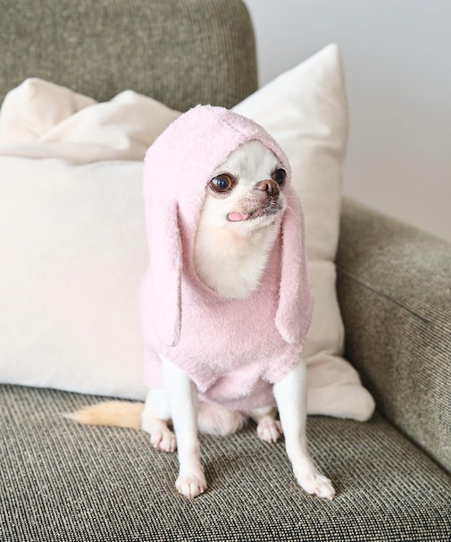 【DOG】ロップイヤーうさみみパーカー