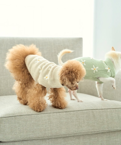 【DOG】フラワーモチーフニット