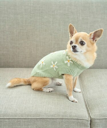 【DOG】フラワーモチーフニット