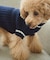 【DOG】リブ切り替えニットプルオーバー