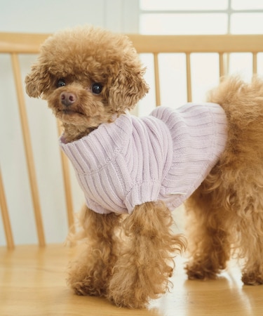 【DOG】リブ切り替えニットプルオーバー