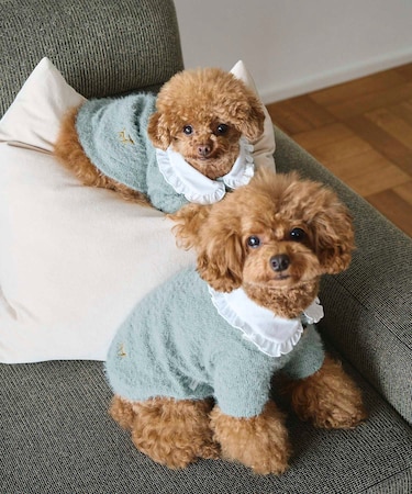 【DOG】ビックカラーカーディガン