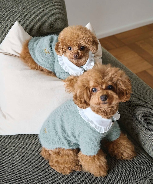 【DOG】ビックカラーカーディガン