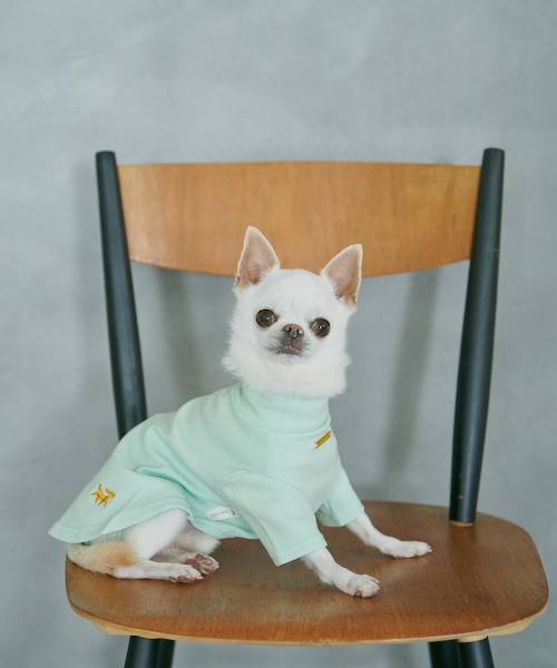 DOG】カラーリブタートル｜ロペピクニック / ビス / ジュンレッドの