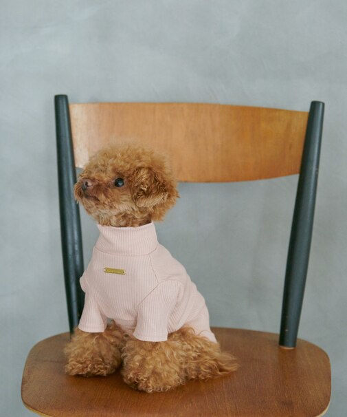 【DOG】カラーリブタートル