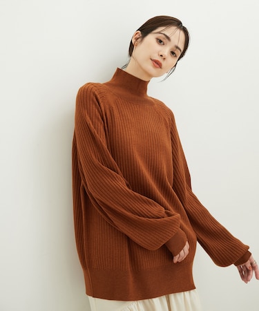 ラグランリブタートル