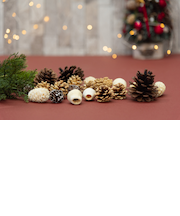 森の恵みアソートセット