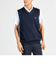 『STANDARD』アメリカン・シーアイランドコットンメッシュ柄Vネックベスト