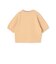 【WEB限定】 ダブルニット ハーフスリーブプルオーバー