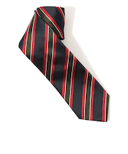 STEFANO BIGI シルク レジメンタルネクタイ