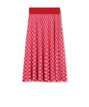Molli DELICATE スカート