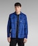 ballpen blue louis check
