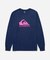 QS x SNYC LS GRAPHIC TEE