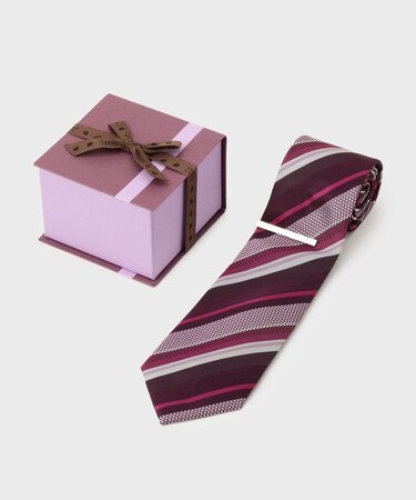 【BOXセット】ベーシックネクタイ＆タイバー