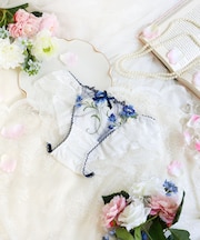 テリン ノーマルショーツ