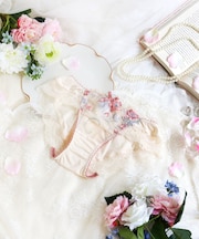 テリン ノーマルショーツ