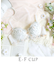 シュクリエ ブラジャー（E-F）