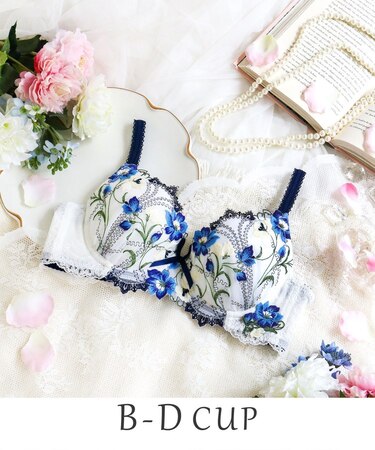 テリン ブラジャー(B-D)<S Make Type>