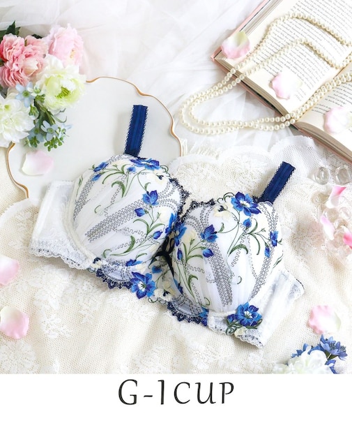 テリン ブラジャー(G-I)<S Make Type>