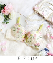テリン ブラジャー（E-F）＜S Make Type＞