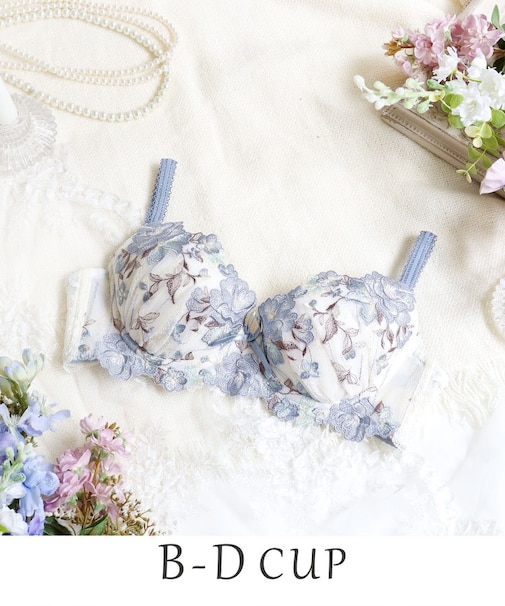 クラシーナ ブラジャー(B-D)<N Make Type>
