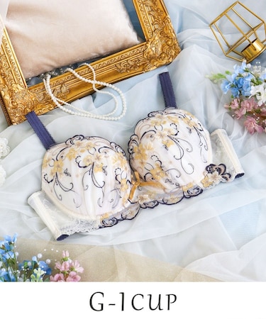 アイシャ ブラジャー （G-I） ＜バストアップタイプ＞