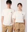 クローバーモチーフ シェア Tシャツ