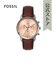 44mm NEUTRA
