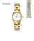 FOSSIL HERITAGE ME3226