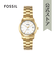FOSSIL HERITAGE ME3226
