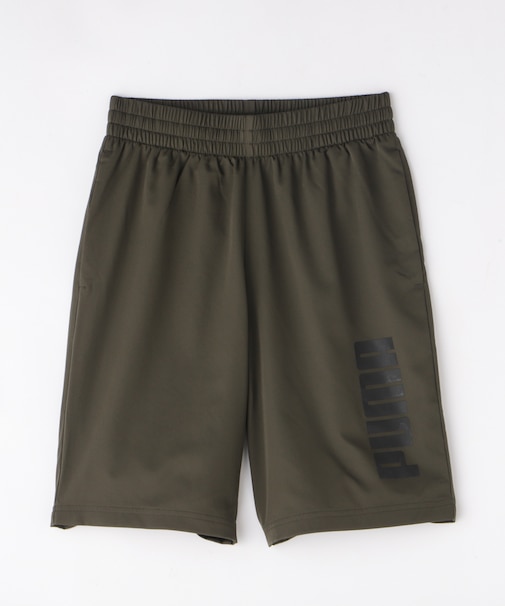 ESS BIG LOGO WOVEN SHORTS 9''