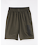 ESS BIG LOGO WOVEN SHORTS 9''
