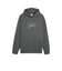 ELEVATED GRAPHIC HOODIE TR