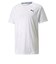 TRAIN AOP SS TEE
