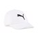 ESS PUMA CAT BB Cap Jr