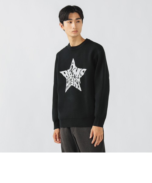 BEAMS - V12 即完売　スターニット セール】12ゲージ スパイダーウェブ クルーニット（ニット