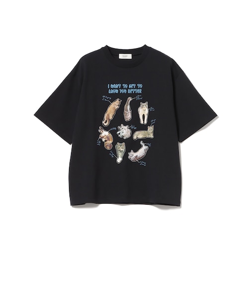 o/ﾈｺﾌｫﾄｺﾗｰｼﾞｭT6