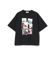 o/ﾈｺﾌｫﾄｺﾗｰｼﾞｭT6